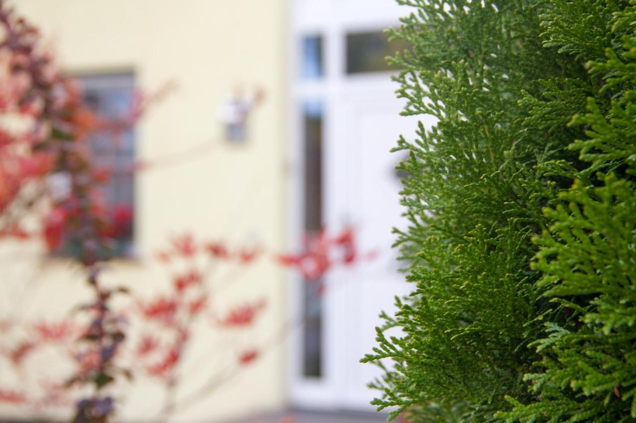 Ferienhaus Bogsi Mullrose Екстер'єр фото